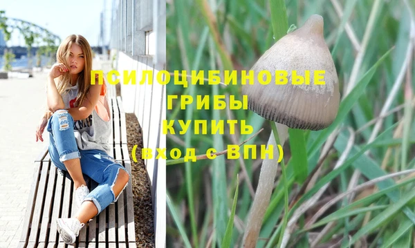 мескалин Алексеевка