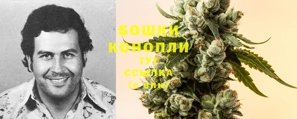 MDMA Медногорск